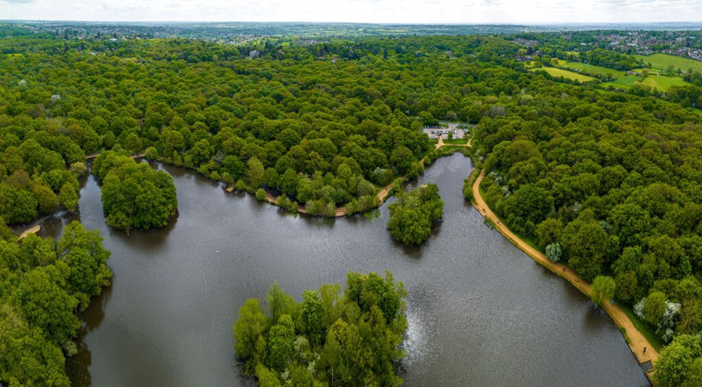 Le lac de Connaught Water dans la forêt d’Epping, autour de Londres