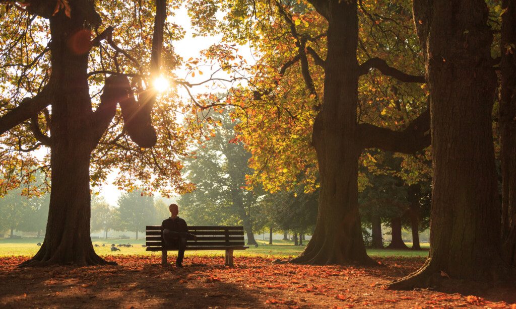 Matin calme au Parc de la Tête d’Or de Lyon