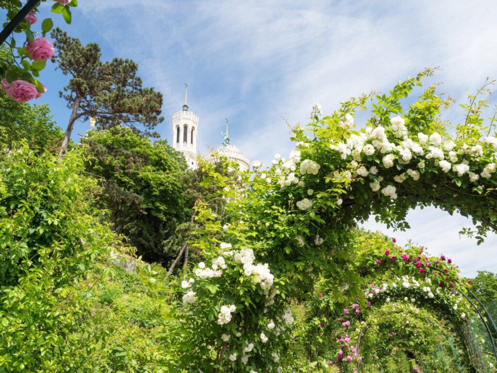 Monter à Fourvière par le Jardin du Rosaire