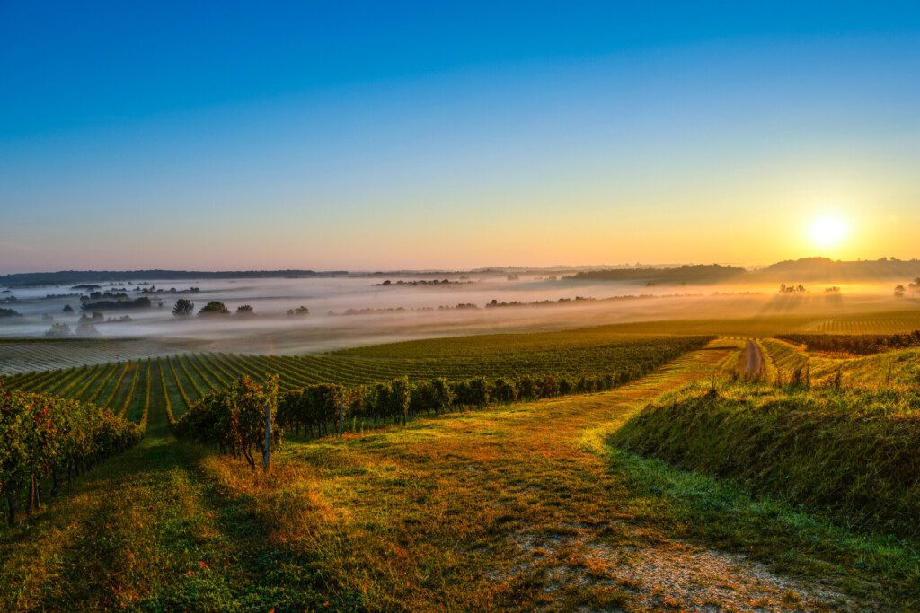 Paysage du Médoc au lever du soleil : photogénique