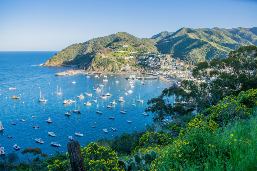 Catalina Island, une île aux abords de Los Angeles