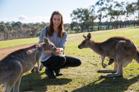 Le PVT Australie : bon plan pour découvrir l’Australie ?