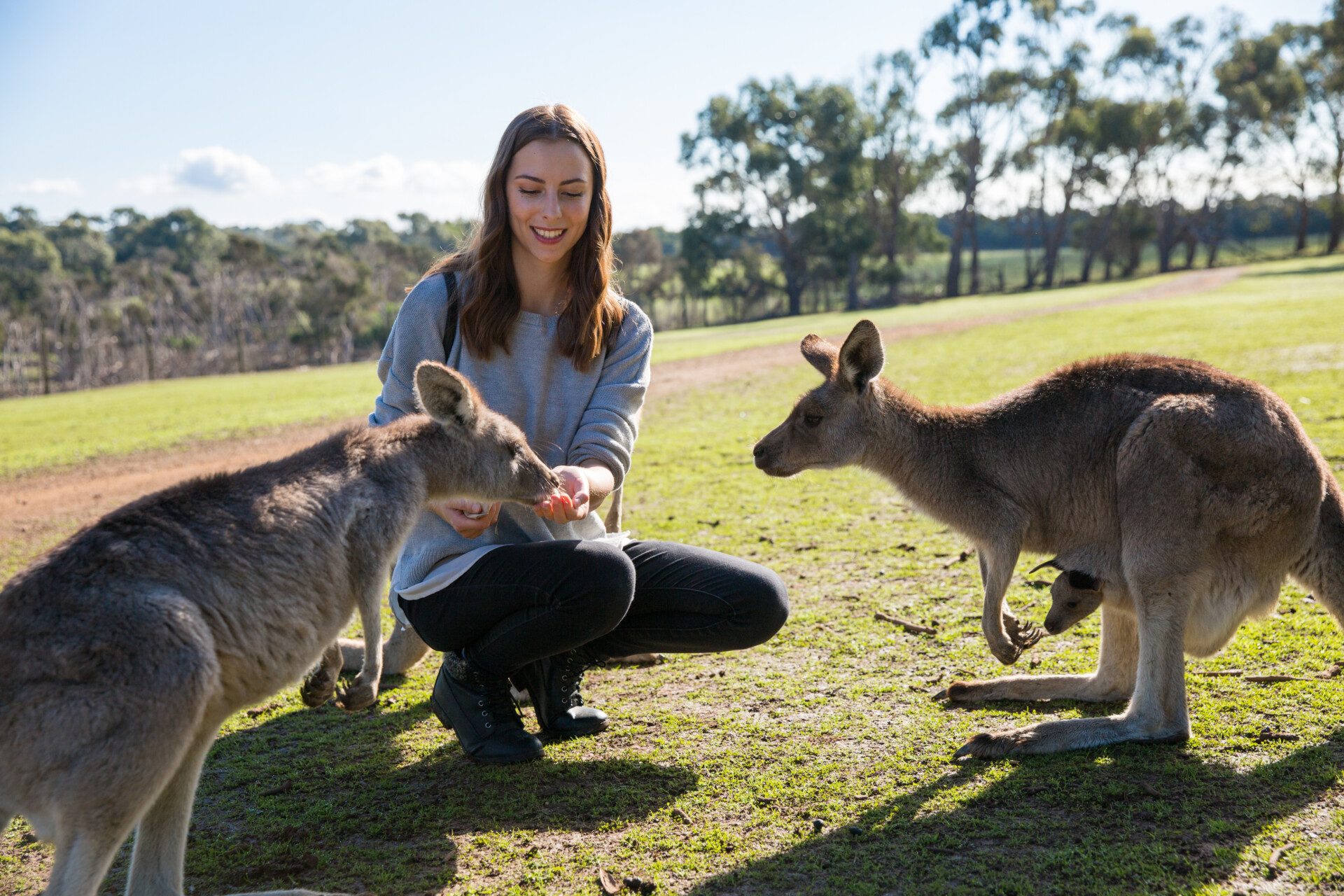 Conseils pour un PVT en Australie