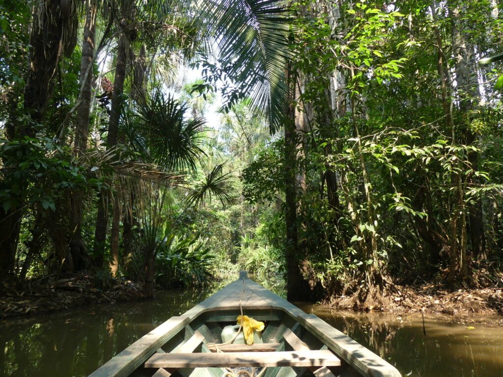 En pirogue dans la jungle amazonienne du Pérou