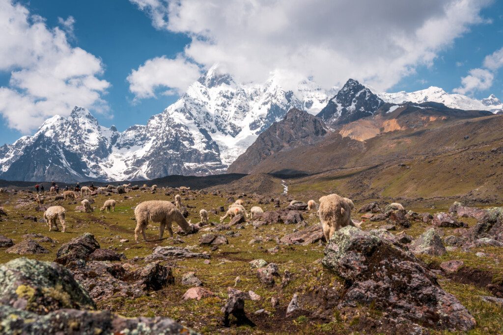 Paysage lors d'une randonnée autour de l’Ausangate, Pérou
