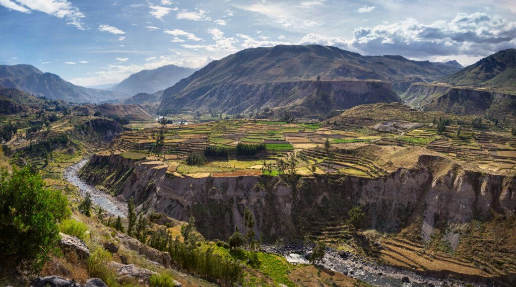 Vue des champs en terrasses surplombant le canyon de Colca au sud du Pérou