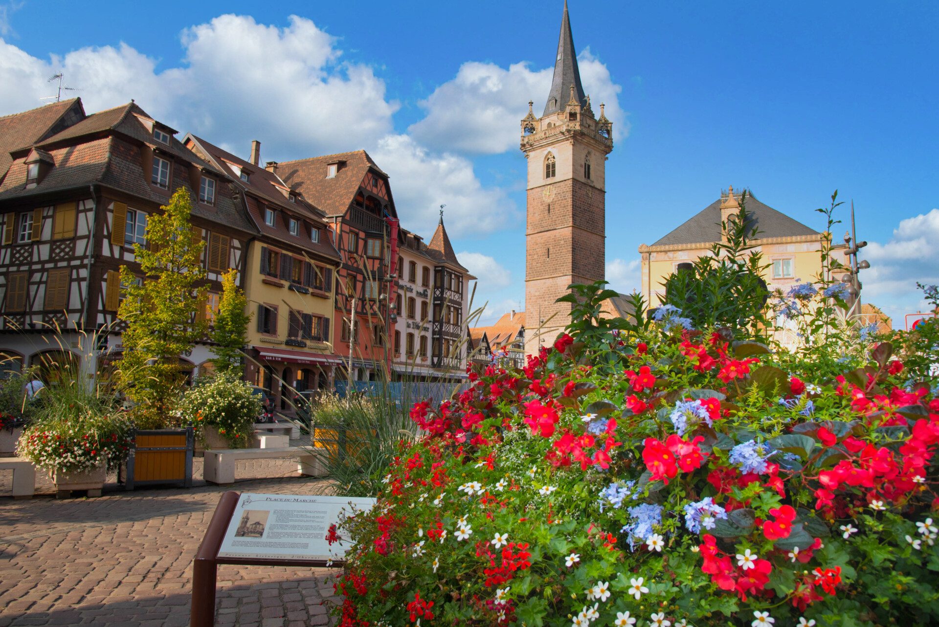 Road trip en Alsace : inspirez-vous de mon itinéraire d’une semaine