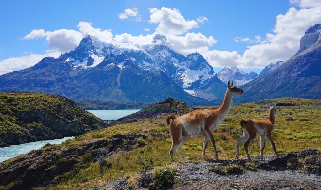 Paysage de la Patagonie chilienne (Torres del Paine)