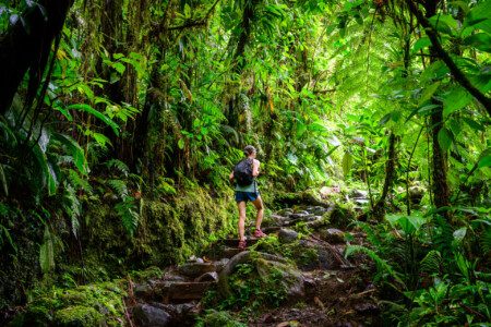 Les plus belles randonnées de Guadeloupe