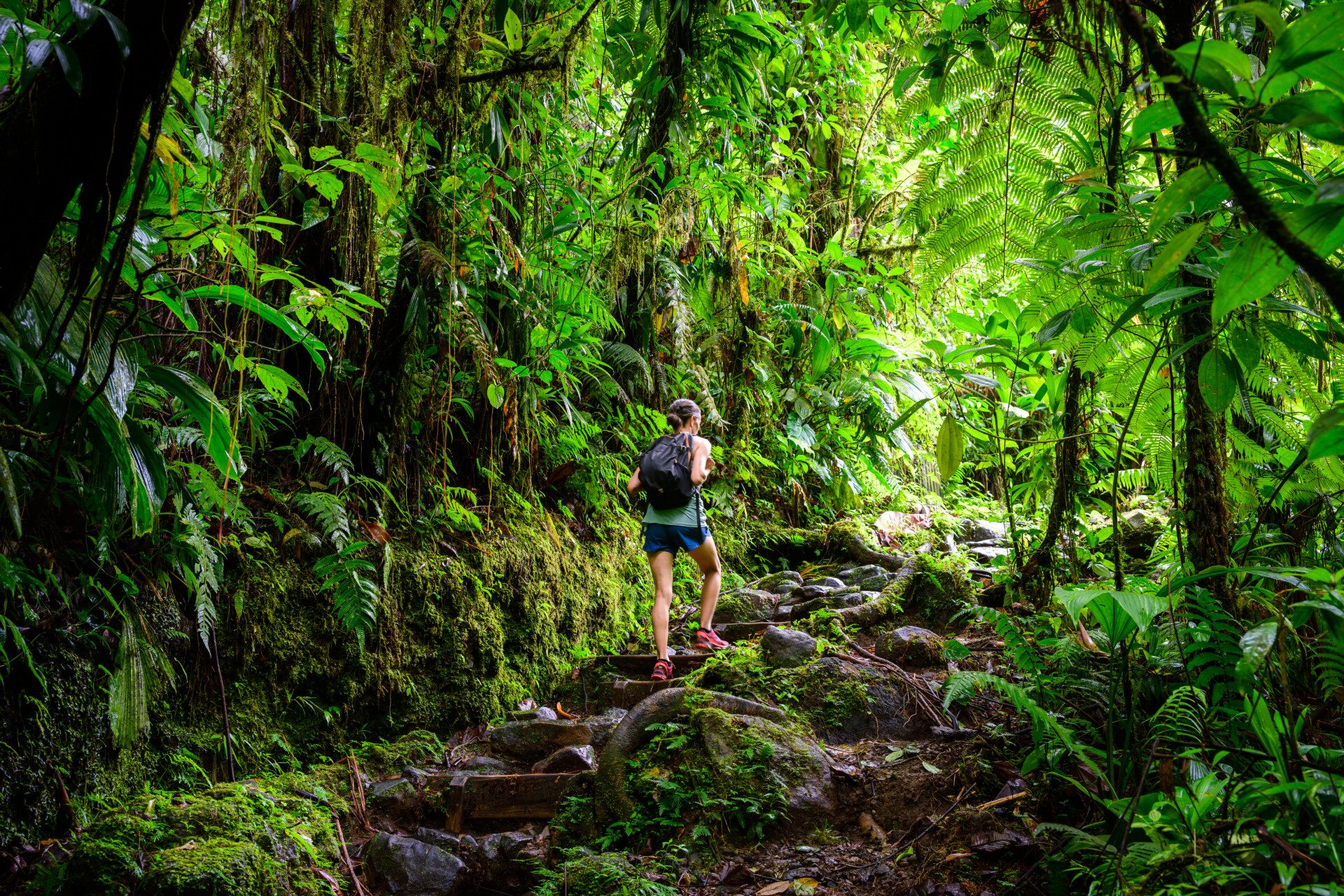 Randonnée dans le parc national de Guadeloupe