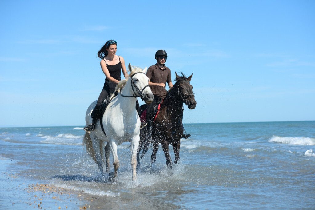 Découvrir la Camargue à cheval