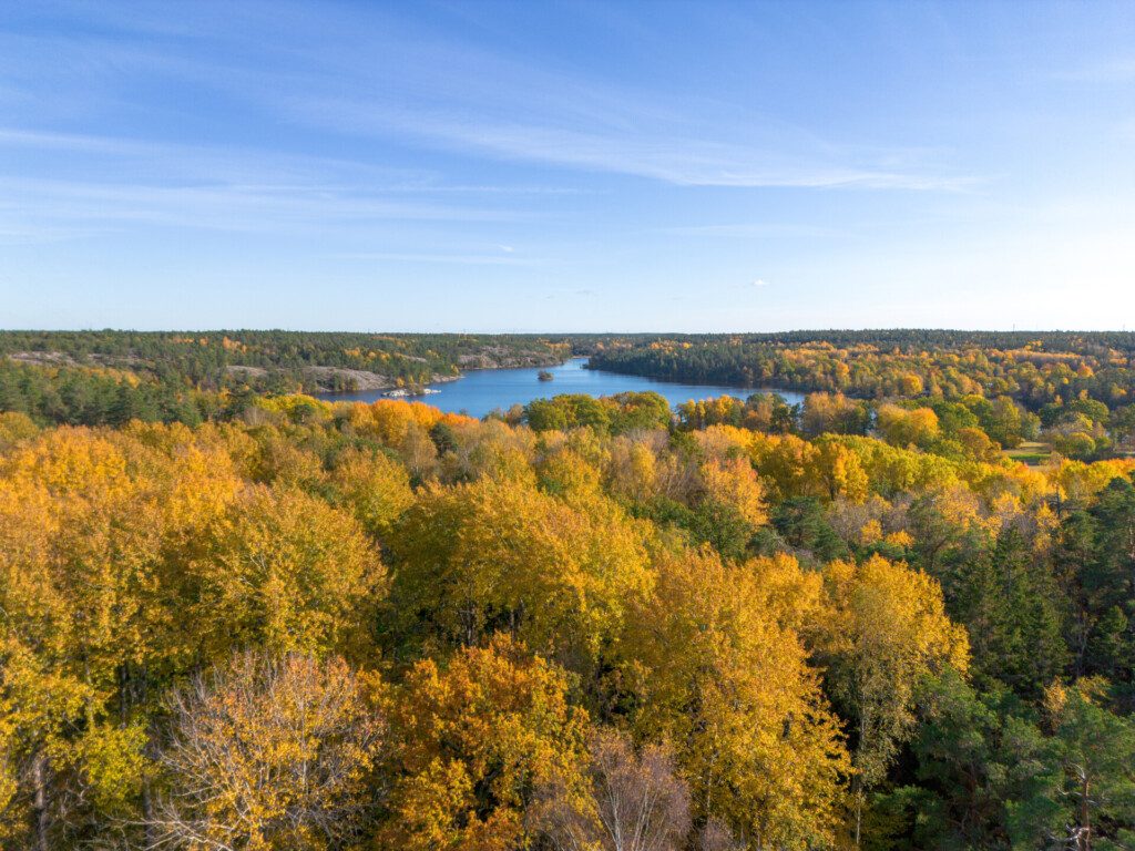 Feuillage d'automne dans la réserve naturelle de Nacka (Nackareservatet)