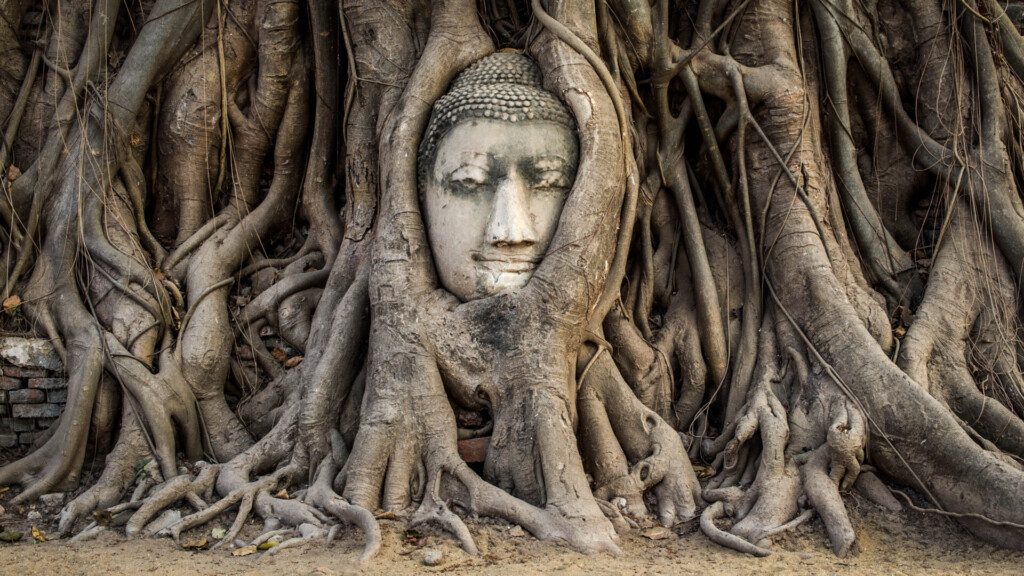 La tête de Bouddha Ayutthaya, à voir autour de Bangkok