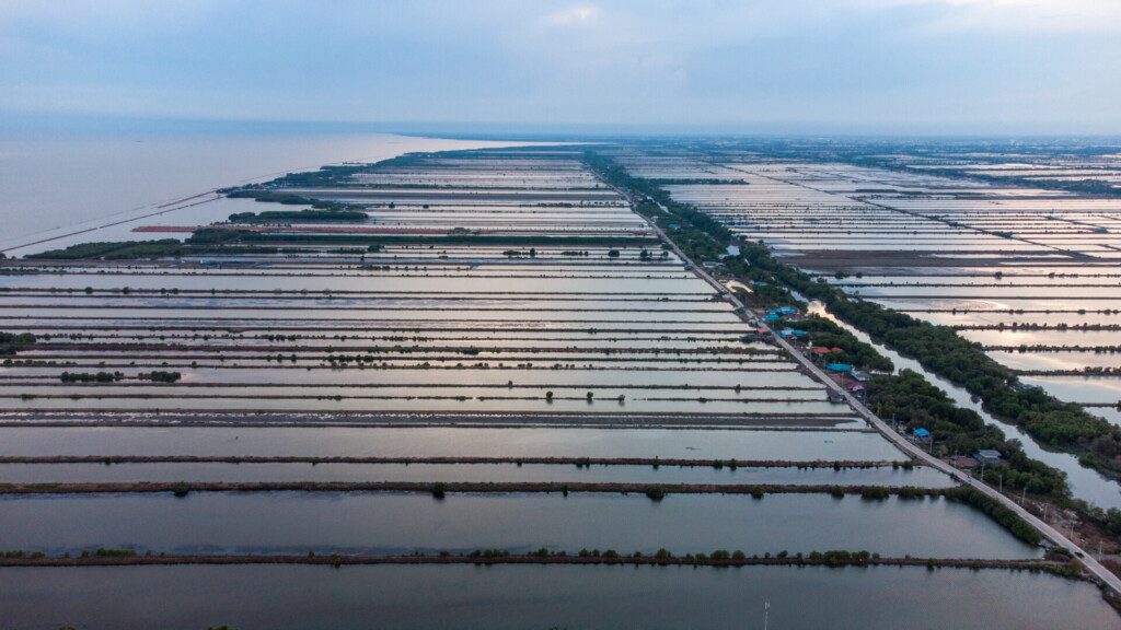 Les marais salants de Samut Sakhon, environs de Bangkok