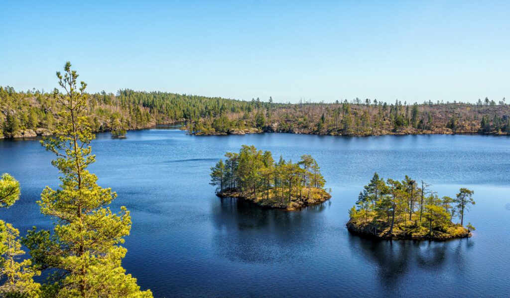 Un magnifique lac forestier dans le parc national de Tyresta, proche de Stockholm
