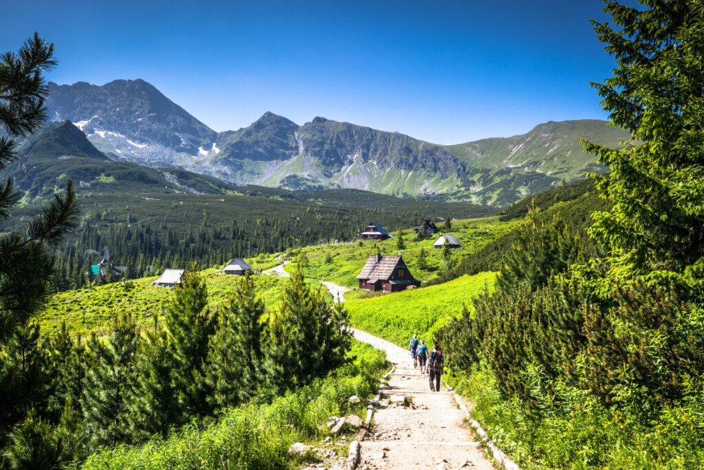 Vue sur les Tatras depuis un sentier de randonnée - Pologne