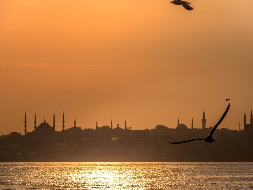 Voguer sur la Corne d’Or autour d'Istanbul © Maxime AUBIN