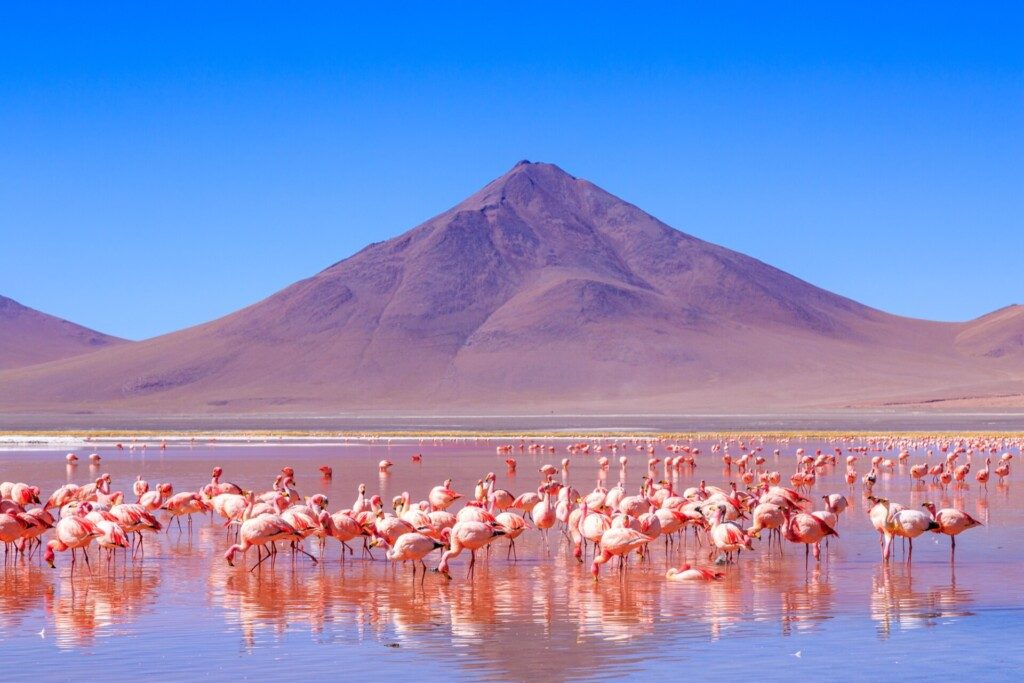 La Laguna Colorada