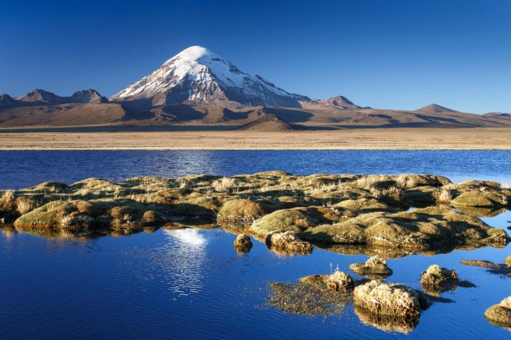 Le parc Sajama paysage de Bolivie 