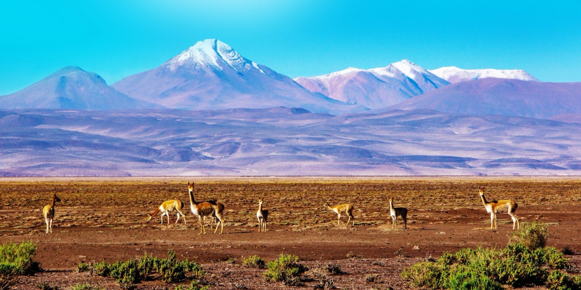 Paysages de Bolivie