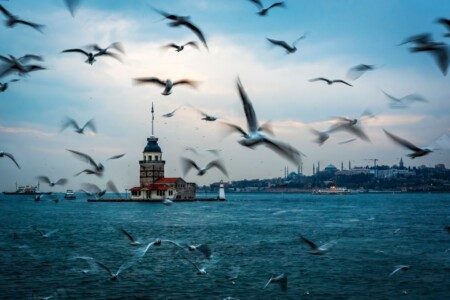 Voici mes 7 visites à découvrir autour d’Istanbul (pour changer du centre)