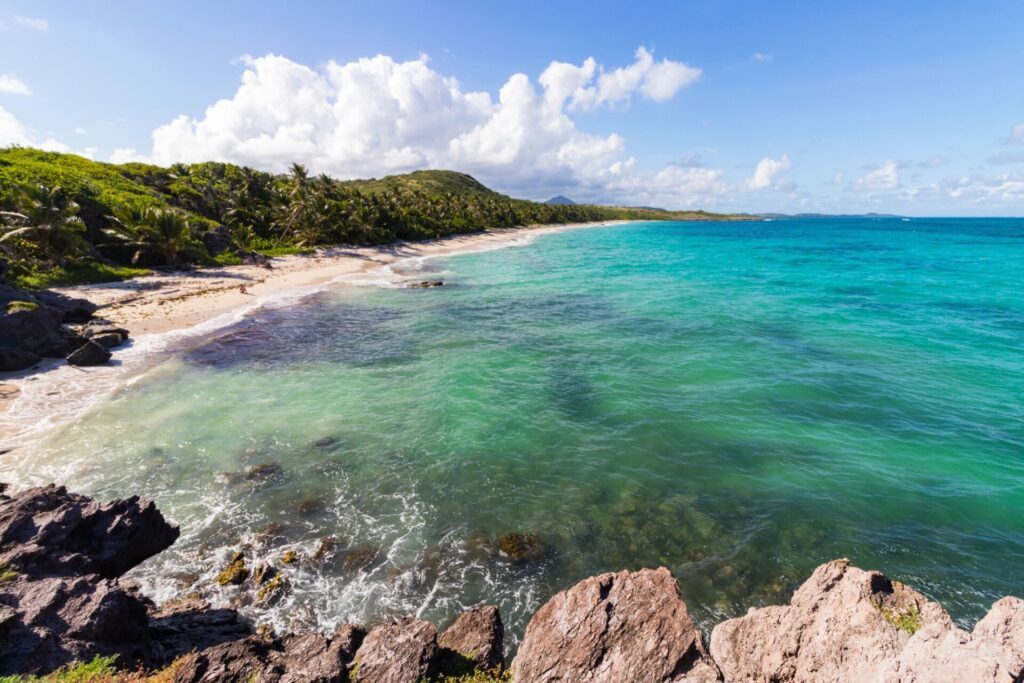Anse Grosse Roche, une plage sauvage de la Martinique