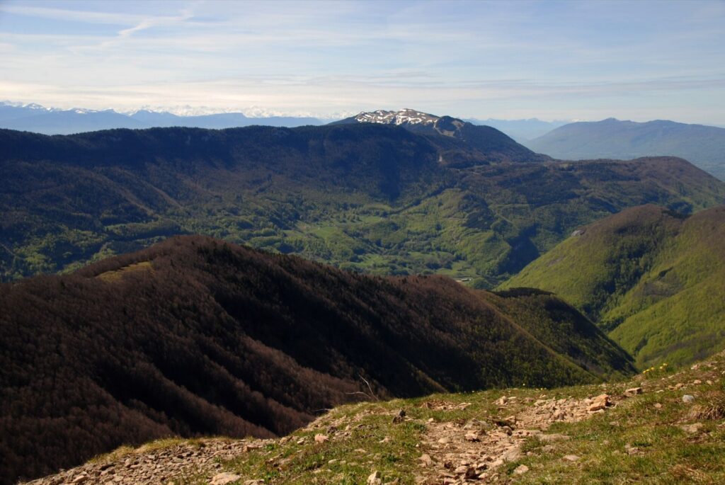 Le crêt de Chalam, une rando plus sportive dans le Jura