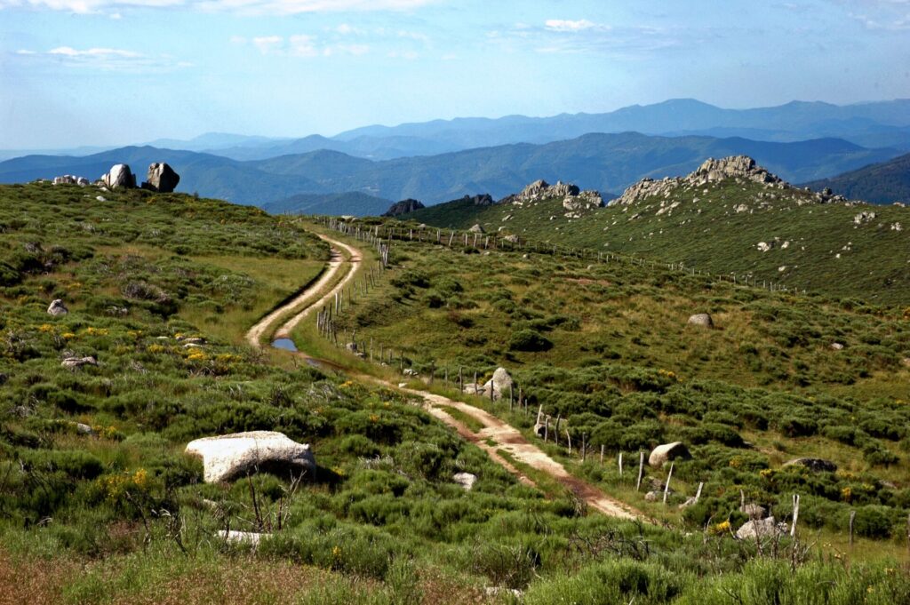 un sentier serpentant à travers une prairie dans les contreforts du Mont Lozère