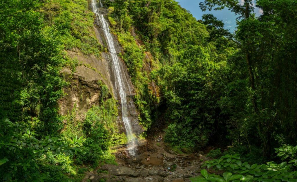 Au bout de cette petite rando, apparaît la Cascade Couleuvre (Martinique)