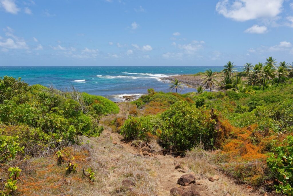 La pointe Marie-Catherine sur le sentier de la Trace des Caps en Martinique