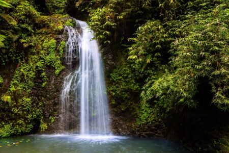 Randonnées en Martinique : voici les 6 plus beaux sentiers