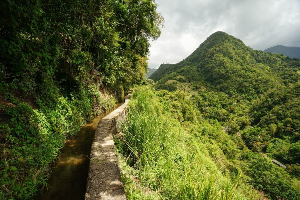 Randonner le long du Canal de Beauregard - Martinique