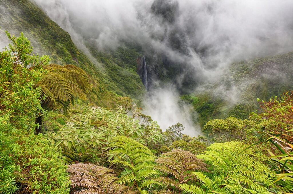 Cascade du Trou de Fer - rando à l'île de La Réunion