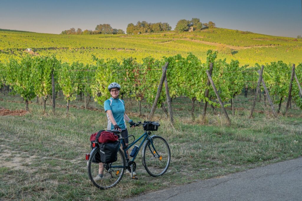 Pédaler à travers les vignobles alsaciens
