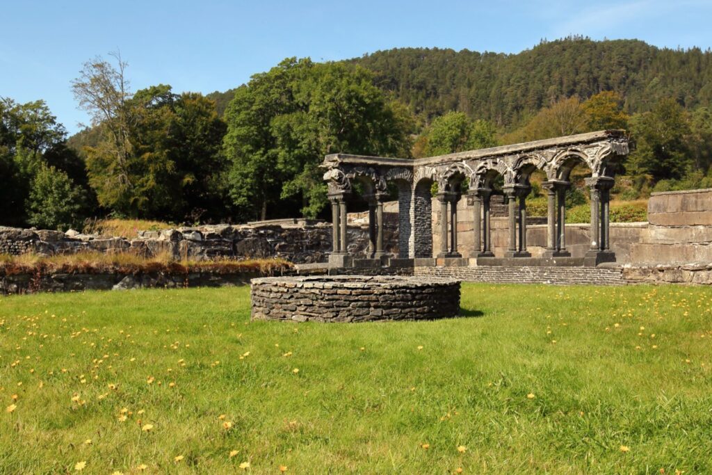 Ruines de l'abbaye de Lyse, autour de Bergen