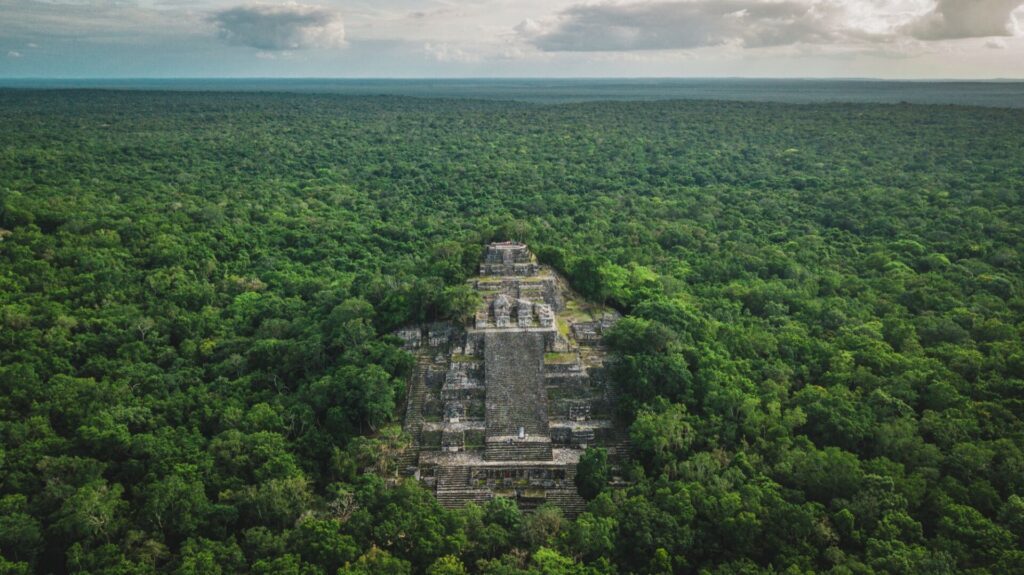 Vue aérienne du site de Calakmul au Yucatán