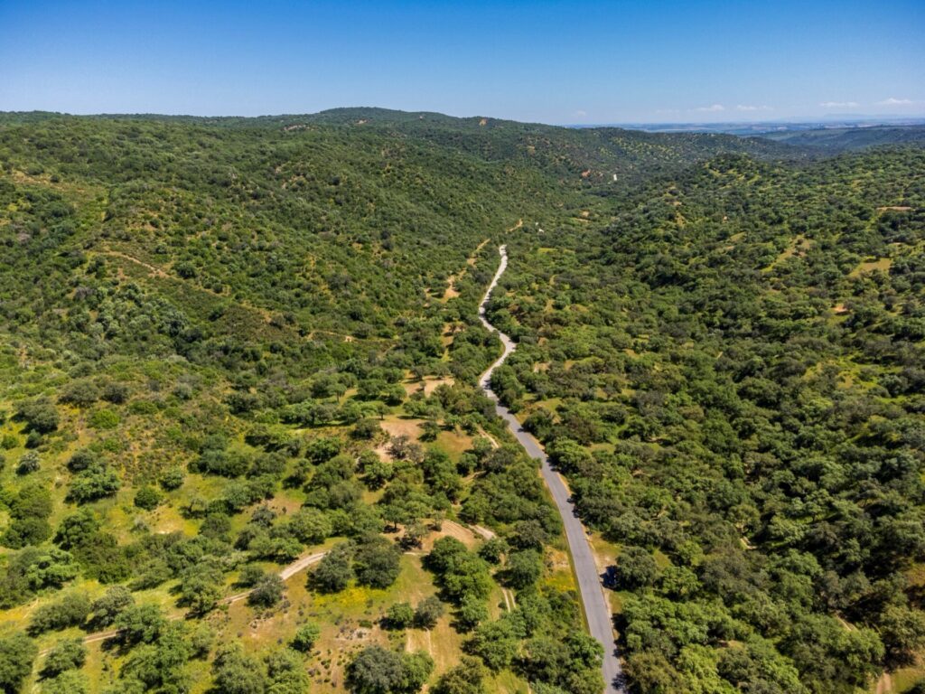 Parc naturel de la Sierra de Hornachuelos près de Cordoue